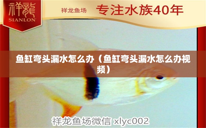 魚缸彎頭漏水怎么辦（魚缸彎頭漏水怎么辦視頻） 其他品牌魚缸