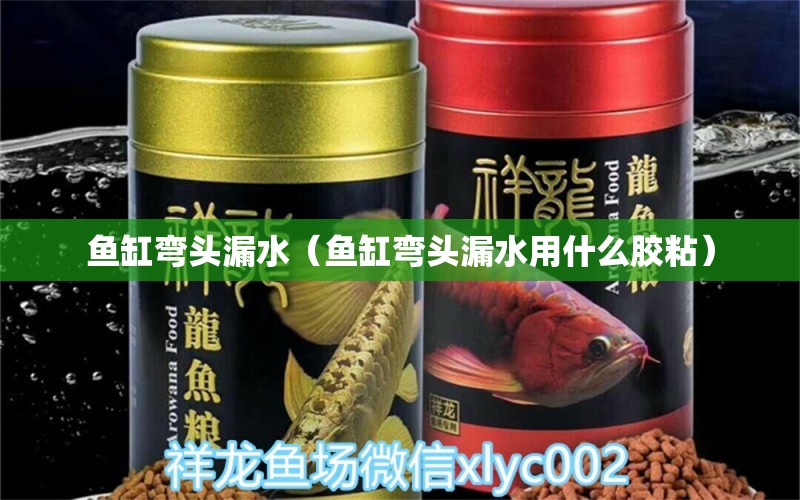 魚缸彎頭漏水（魚缸彎頭漏水用什么膠粘）