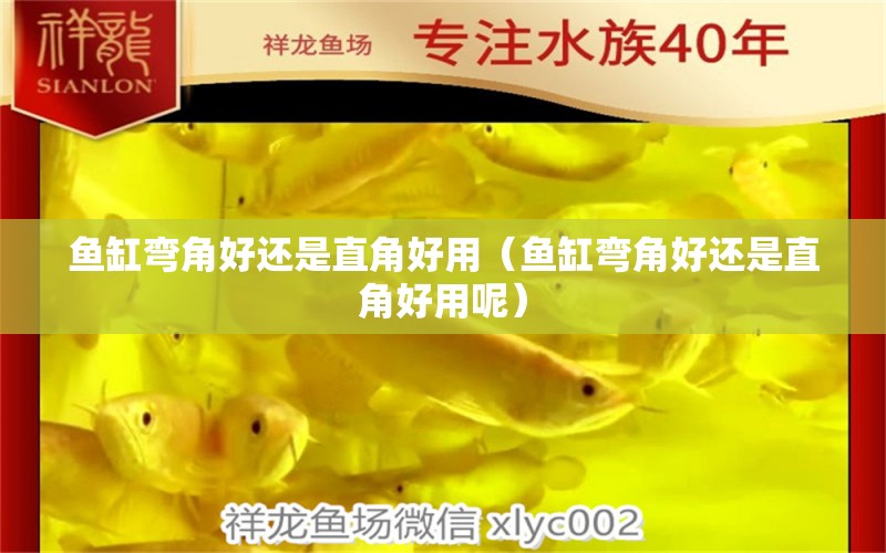 魚缸彎角好還是直角好用（魚缸彎角好還是直角好用呢） 其他品牌魚缸