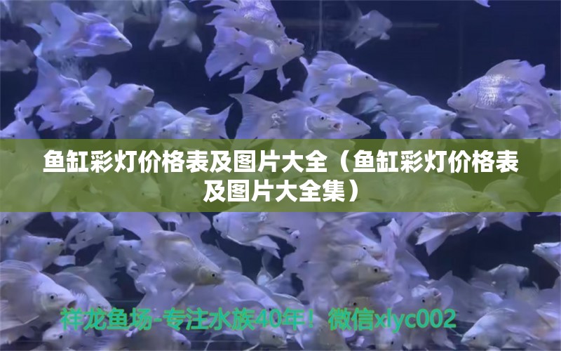 魚(yú)缸彩燈價(jià)格表及圖片大全（魚(yú)缸彩燈價(jià)格表及圖片大全集）