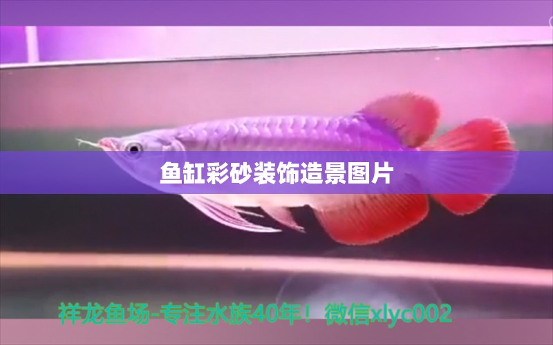 魚缸彩砂裝飾造景圖片