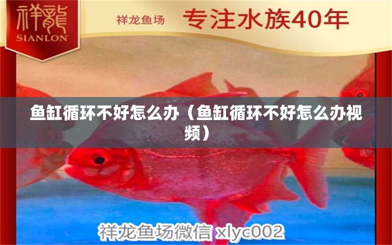 魚(yú)缸循環(huán)不好怎么辦（魚(yú)缸循環(huán)不好怎么辦視頻）