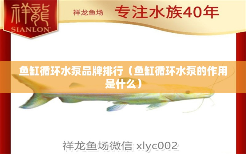 魚(yú)缸循環(huán)水泵品牌排行（魚(yú)缸循環(huán)水泵的作用是什么）