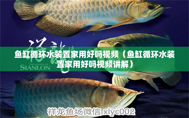 魚缸循環(huán)水裝置家用好嗎視頻（魚缸循環(huán)水裝置家用好嗎視頻講解）