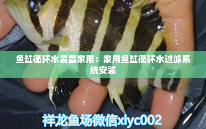 魚缸循環(huán)水裝置家用：家用魚缸循環(huán)水過濾系統(tǒng)安裝 養(yǎng)魚知識 第1張