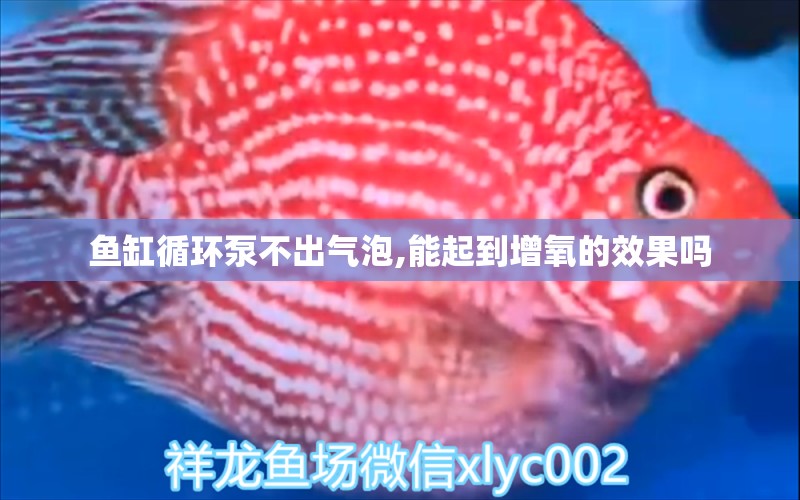 魚缸循環(huán)泵不出氣泡,能起到增氧的效果嗎