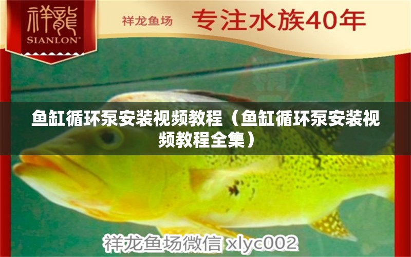 魚缸循環(huán)泵安裝視頻教程（魚缸循環(huán)泵安裝視頻教程全集）