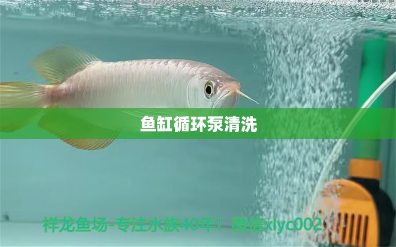 魚缸循環(huán)泵清洗