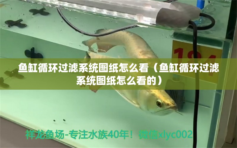 魚缸循環(huán)過濾系統(tǒng)圖紙怎么看（魚缸循環(huán)過濾系統(tǒng)圖紙怎么看的）