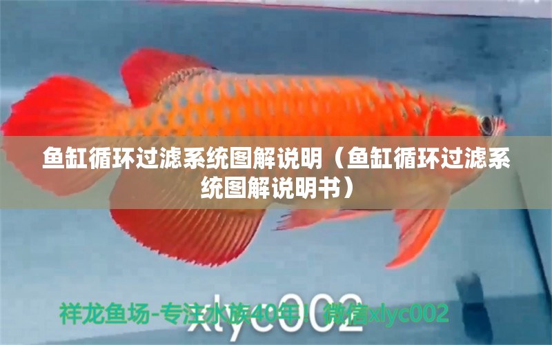 魚缸循環(huán)過濾系統(tǒng)圖解說明（魚缸循環(huán)過濾系統(tǒng)圖解說明書）