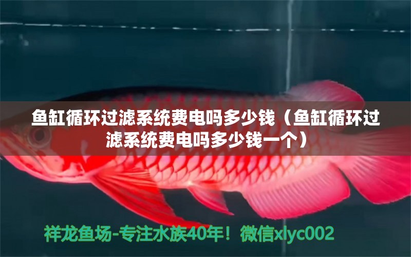 魚缸循環(huán)過濾系統(tǒng)費電嗎多少錢（魚缸循環(huán)過濾系統(tǒng)費電嗎多少錢一個）