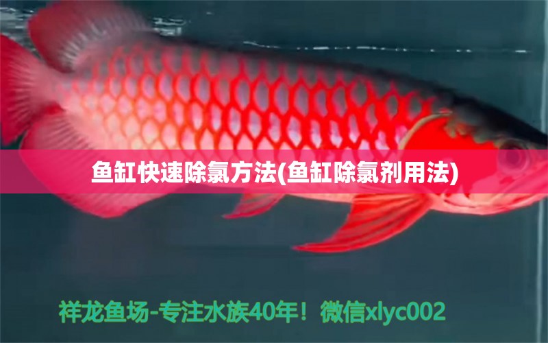 魚缸快速除氯方法(魚缸除氯劑用法) 南美異形觀賞魚