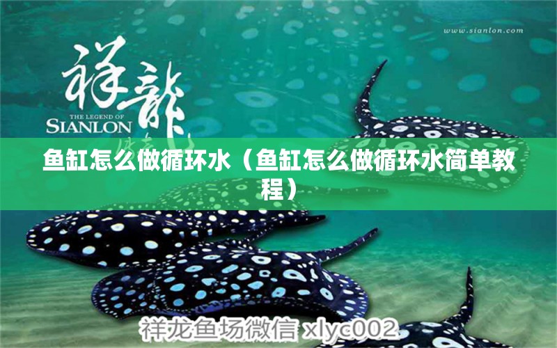 魚缸怎么做循環(huán)水（魚缸怎么做循環(huán)水簡單教程）