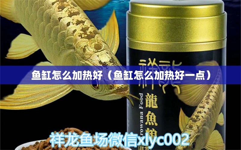 魚缸怎么加熱好（魚缸怎么加熱好一點(diǎn)）