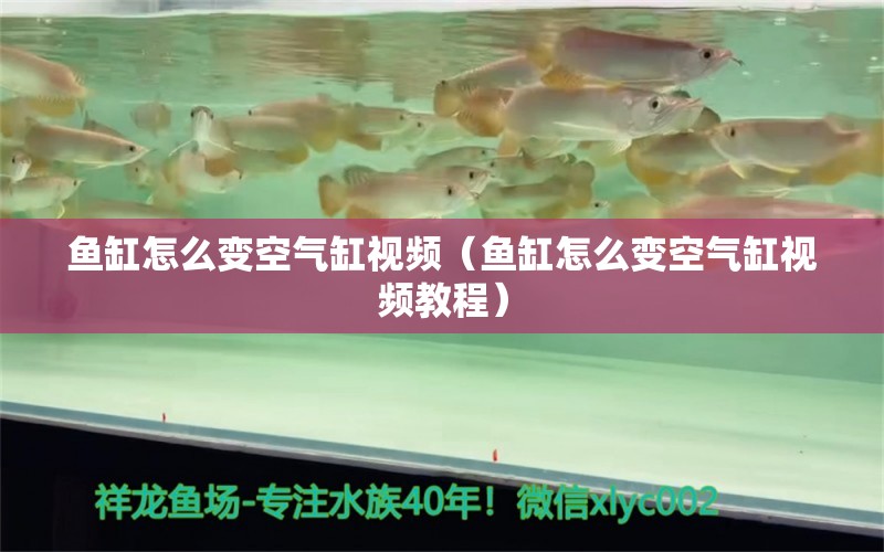 魚(yú)缸怎么變空氣缸視頻（魚(yú)缸怎么變空氣缸視頻教程）