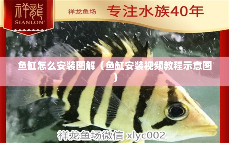 魚缸怎么安裝圖解（魚缸安裝視頻教程示意圖） 黑白雙星 第1張