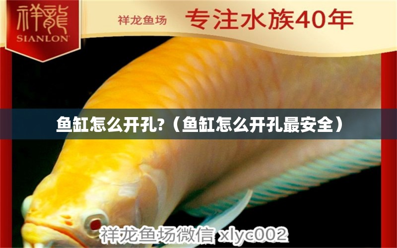 魚缸怎么開孔?（魚缸怎么開孔最安全）