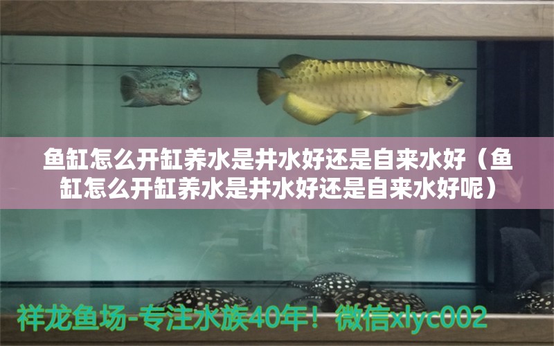 魚缸怎么開缸養(yǎng)水是井水好還是自來水好（魚缸怎么開缸養(yǎng)水是井水好還是自來水好呢） 祥龍魚場