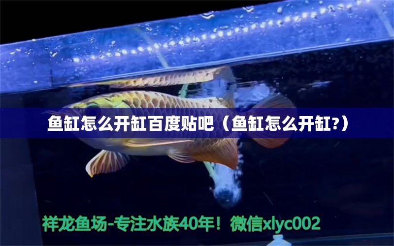 魚缸怎么開缸百度貼吧（魚缸怎么開缸?） 祥龍水族醫(yī)院