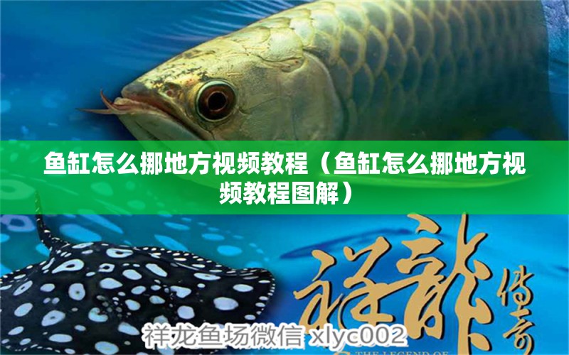 魚(yú)缸怎么挪地方視頻教程（魚(yú)缸怎么挪地方視頻教程圖解）