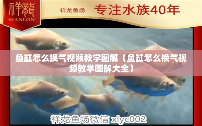 魚缸怎么換氣視頻教學(xué)圖解（魚缸怎么換氣視頻教學(xué)圖解大全）