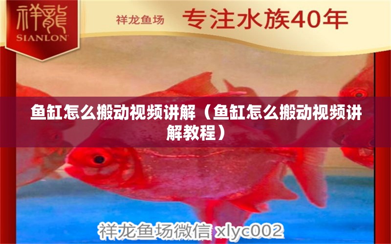 魚缸怎么搬動(dòng)視頻講解（魚缸怎么搬動(dòng)視頻講解教程）