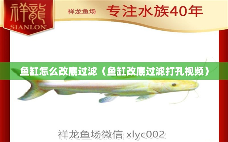 魚缸怎么改底過(guò)濾（魚缸改底過(guò)濾打孔視頻） 祥龍水族醫(yī)院