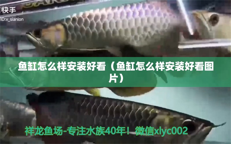 魚缸怎么樣安裝好看（魚缸怎么樣安裝好看圖片）