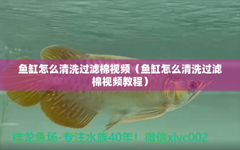 魚缸怎么清洗過濾棉視頻（魚缸怎么清洗過濾棉視頻教程）