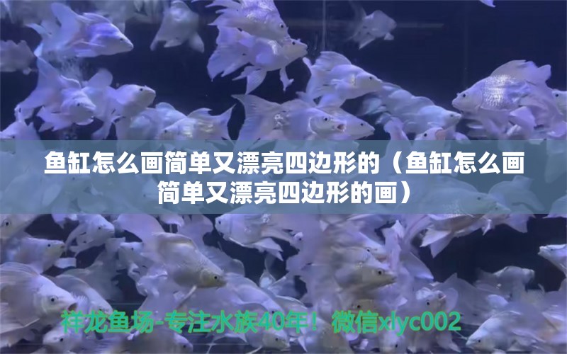 魚缸怎么畫簡單又漂亮四邊形的（魚缸怎么畫簡單又漂亮四邊形的畫） 慈雕魚