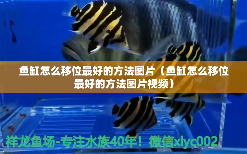 魚(yú)缸怎么移位最好的方法圖片（魚(yú)缸怎么移位最好的方法圖片視頻） 其他品牌魚(yú)缸