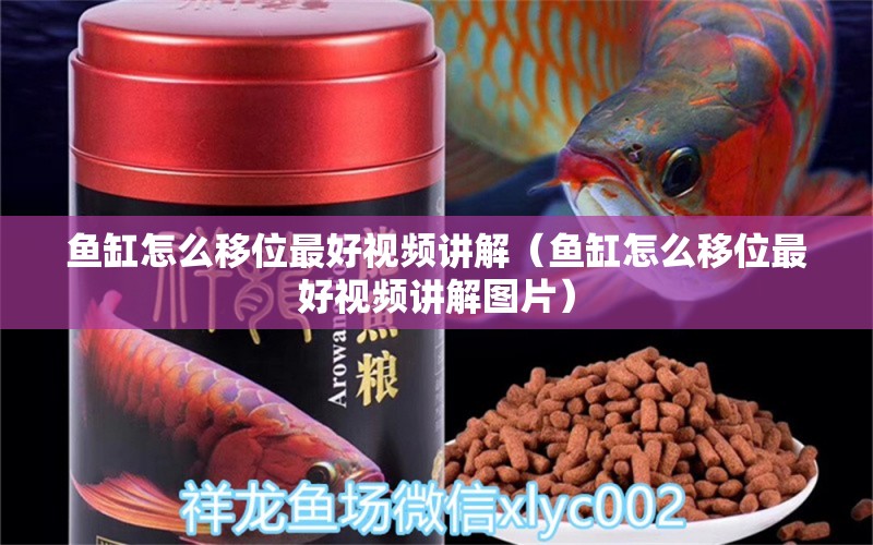 魚缸怎么移位最好視頻講解（魚缸怎么移位最好視頻講解圖片）