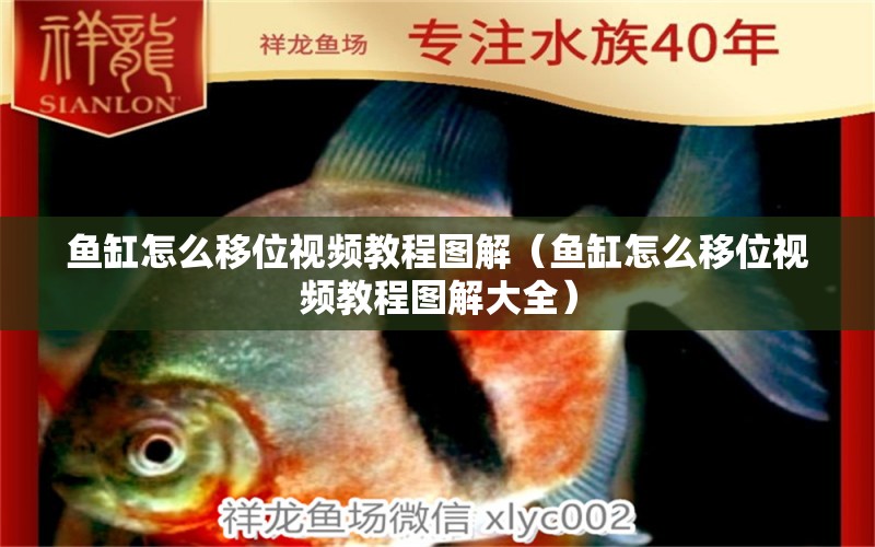 魚缸怎么移位視頻教程圖解（魚缸怎么移位視頻教程圖解大全）