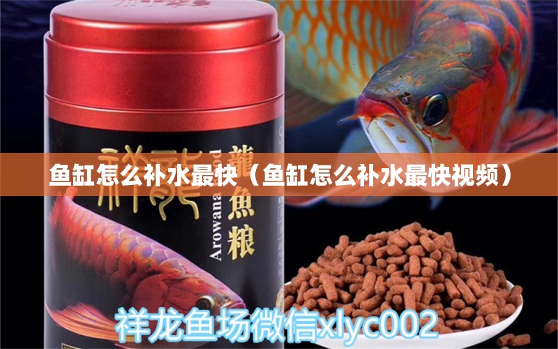 魚缸怎么補水最快（魚缸怎么補水最快視頻）