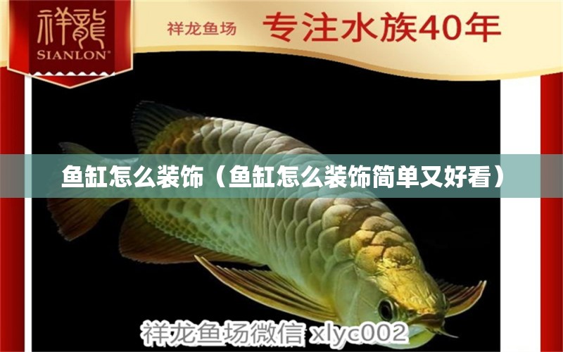 魚缸怎么裝飾（魚缸怎么裝飾簡單又好看） 祥龍水族醫(yī)院