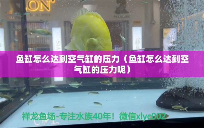 魚(yú)缸怎么達(dá)到空氣缸的壓力（魚(yú)缸怎么達(dá)到空氣缸的壓力呢）