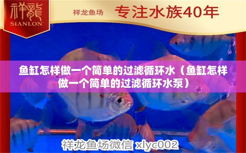 魚(yú)缸怎樣做一個(gè)簡(jiǎn)單的過(guò)濾循環(huán)水（魚(yú)缸怎樣做一個(gè)簡(jiǎn)單的過(guò)濾循環(huán)水泵）