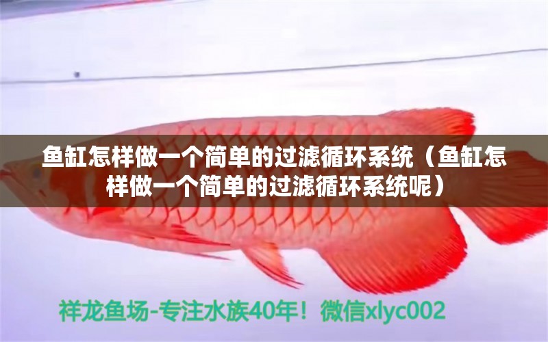 魚缸怎樣做一個(gè)簡單的過濾循環(huán)系統(tǒng)（魚缸怎樣做一個(gè)簡單的過濾循環(huán)系統(tǒng)呢） 其他品牌魚缸