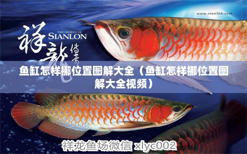 魚缸怎樣挪位置圖解大全（魚缸怎樣挪位置圖解大全視頻）