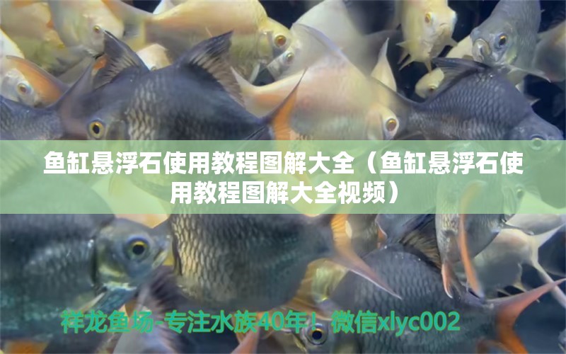 魚(yú)缸懸浮石使用教程圖解大全（魚(yú)缸懸浮石使用教程圖解大全視頻）