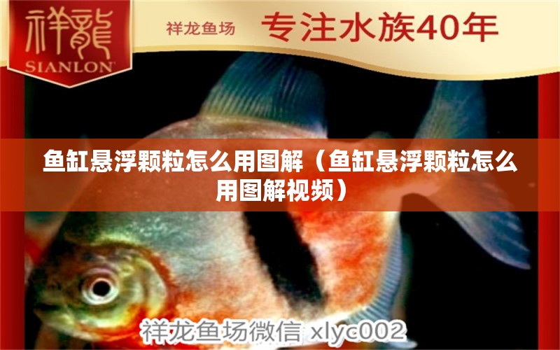 魚缸懸浮顆粒怎么用圖解（魚缸懸浮顆粒怎么用圖解視頻） 祥龍水族醫(yī)院