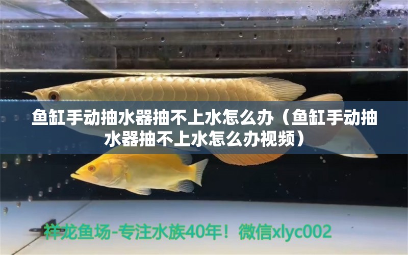 魚(yú)缸手動(dòng)抽水器抽不上水怎么辦（魚(yú)缸手動(dòng)抽水器抽不上水怎么辦視頻）