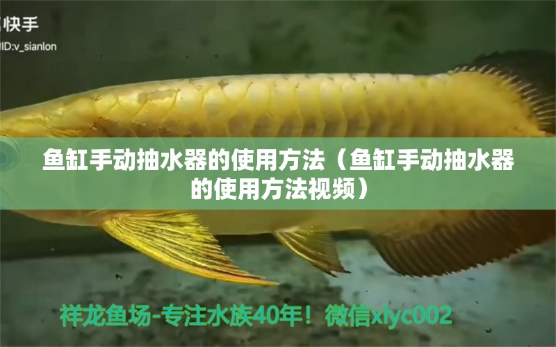 魚缸手動抽水器的使用方法（魚缸手動抽水器的使用方法視頻） 祥龍水族醫(yī)院