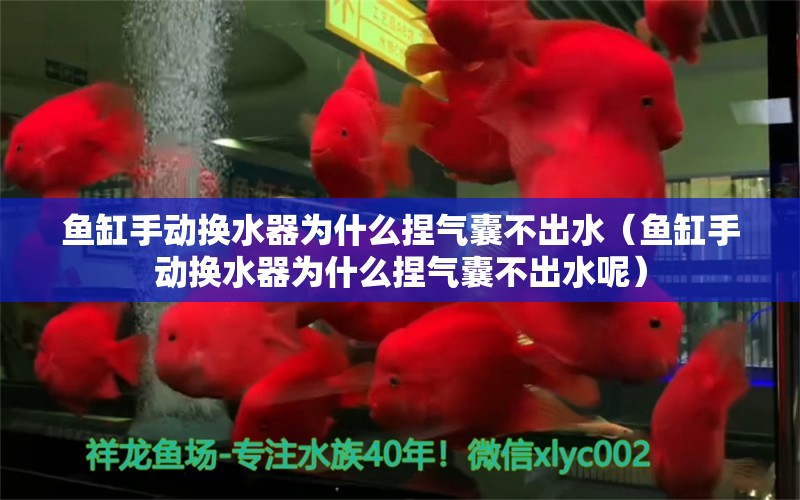 魚缸手動換水器為什么捏氣囊不出水（魚缸手動換水器為什么捏氣囊不出水呢）