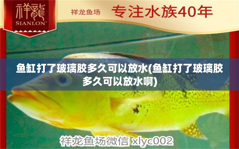 魚(yú)缸打了玻璃膠多久可以放水(魚(yú)缸打了玻璃膠多久可以放水啊)