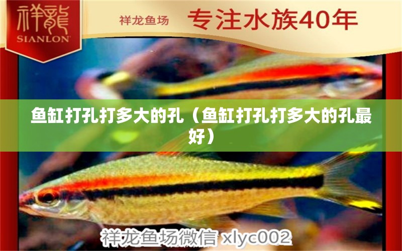 魚(yú)缸打孔打多大的孔（魚(yú)缸打孔打多大的孔最好） 量子養(yǎng)魚(yú)技術(shù)