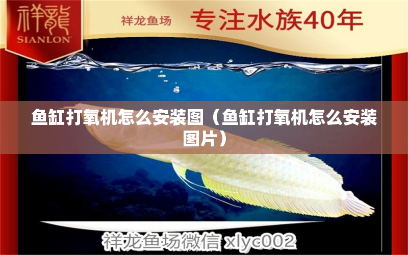 魚(yú)缸打氧機(jī)怎么安裝圖（魚(yú)缸打氧機(jī)怎么安裝圖片）