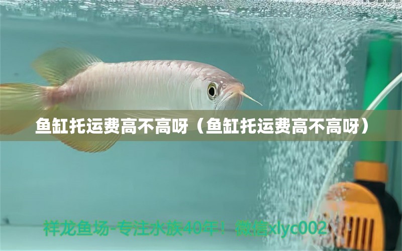 魚缸托運費高不高呀（魚缸托運費高不高呀）