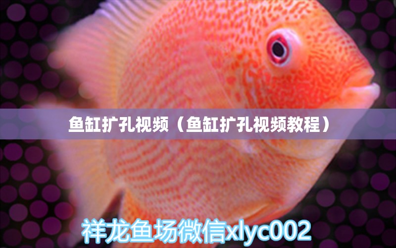 魚缸擴(kuò)孔視頻（魚缸擴(kuò)孔視頻教程）