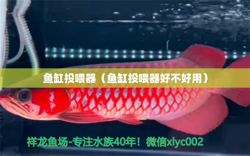 魚缸投喂器（魚缸投喂器好不好用） 魚缸等水族設備